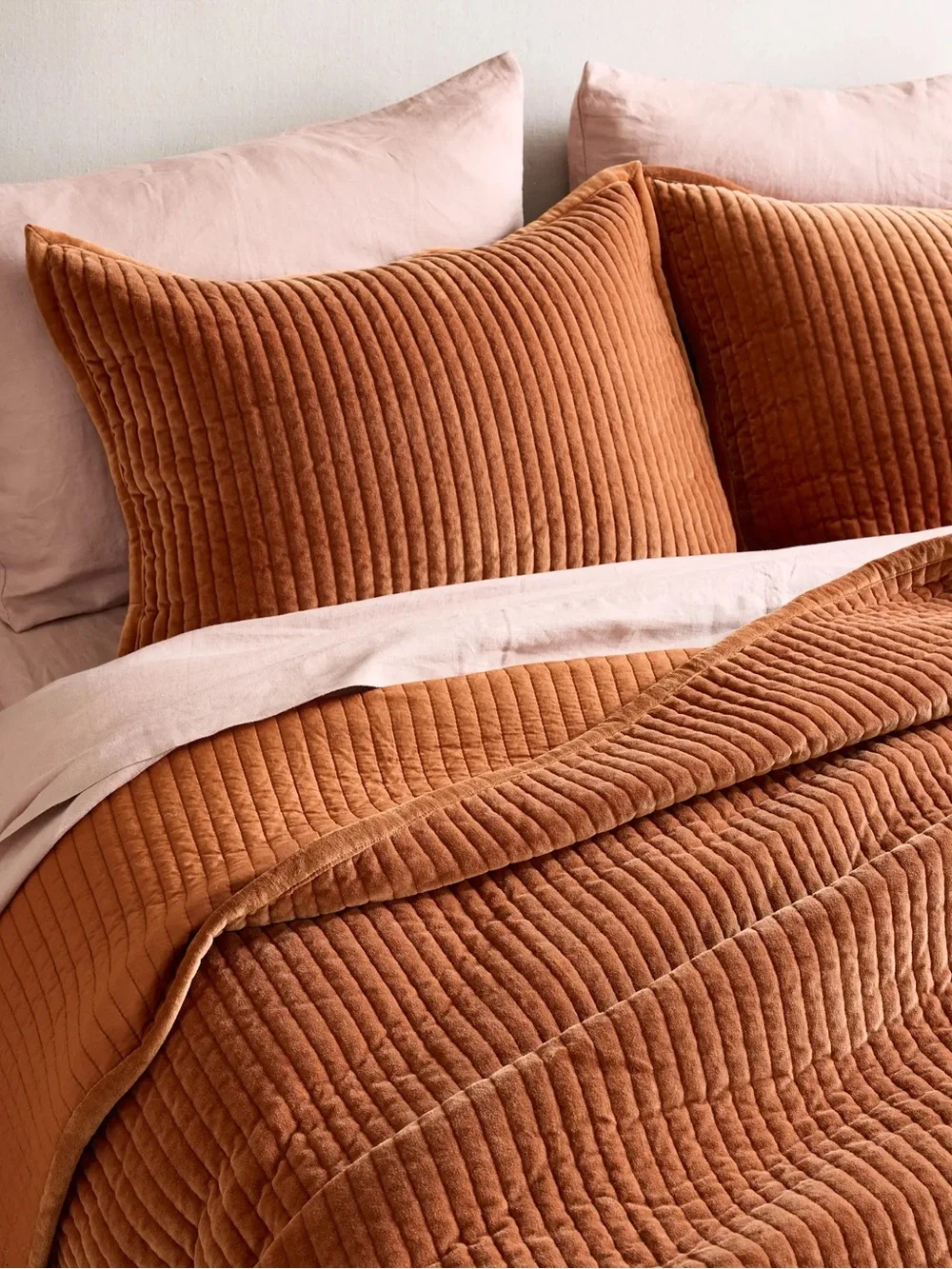NWOT Quince Cotton Velvet Channel Quilted Sham Set In Terracotta - King